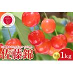 ふるさと納税 2026年産 GI東根さくらんぼ「佐藤錦」 秀品 Lサイズ以上 1kgバラ詰め（500g×2パック） 山形県 東根市 フルーツピッカー提供 h.. 山形県東根市