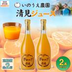 いのうえ農園 清見ジュース2本セット 全2回※離島への配送不…