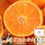 秋採れみかん 早生みかん 2L~3Lサイズ混合