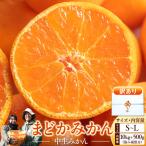 完熟早生みかん サイズ混合 SS~LL 10kg