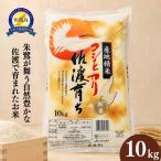 コシヒカリ 精米 10kg