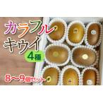 fu.... налог [11 месяц ~3 месяц. время ограничено ] красочный киви 4 вид 8~9 шт. комплект местного производства 6856 Shizuoka префектура . река город 