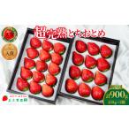 いちご とちおとめ 900g