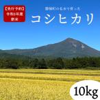 コシヒカリ10kg