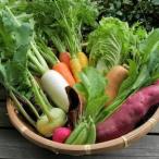 fu.... налог [ отправка месяц фиксация установленный срок рейс ][6~12 месяц ]. лошадь. .. доставка!.. длина овощи комплект все 7 раз [ рассылка не возможно регион : отдаленный остров ][4075870] Hyogo префектура .. город 