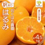 〈訳あり〉 はるみ 4.5kg