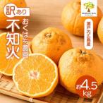 〈訳あり〉 不知火 しらぬい 4.5kg