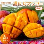 �ӂ邳�Ɣ[�� �y2027�N6�����珇�������E�󂠂�z�썲�ۃ}���S�[2.0kg(3�`6��)�y�z���s�n��F�����z�y1681755�z ���ꌧ���鑺