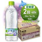 い ろ は す ハスカップ 540mlPET×24本