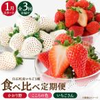 3種のいちご食べ比べ定期便 1 いちご IBJ030