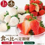 3種のいちご食べ比べ定期便 3 いちご IBJ032