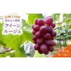 ぶどう クイーンルージュ R 信州上田産 金剛地ぶどう 約1kg
