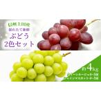 ぶどう クイーンルージュ R 信州上田産 金剛寺ぶどう 約4kg