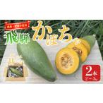 fu.... налог пестициды * удобрение не использование .. тыква | тыква Ibaraki префектура Tsukuba город 