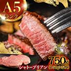 長崎和牛 シャトーブリアン 750g