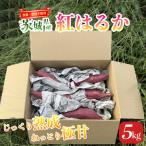 農薬 肥料不使用のさつまいも さつまいも