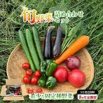 固定種野菜の自然栽培 旬のお野菜セットを毎月お届け