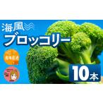 fu.... налог брокколи 10шт.@ Toyohashi местного производства минерал вдоволь море способ .... способ семья . большая вместимость Toyohashi .. Chan. ... прямые продажи место . очень популярный! префектура Аичи.. префектура Аичи Toyohashi город 