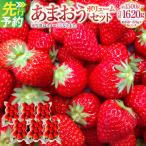 あまおう 1500g