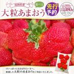 あまおう 1000g