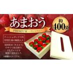ふるさと納税 ティッシュボックス用 特別仕様の桐箱入り プレミアム あまおう 約400g×1パック あまおう いちご イチゴ 苺 果物 くだもの フ.. 福岡県遠賀町