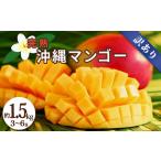 ショッピングふるさと納税 マンゴー ふるさと納税 沖縄県産 訳ありマンゴー 1.5kg 【 先行予約 2026年発送 】 沖縄県うるま市