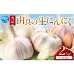 にんにく 秀品 由良の生にんにく 2kg