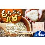 ふるさと納税 もち麦 キラリモチ 4kg（1kg×4袋）/ 雑穀 雑穀米 / 佐賀県 / 大塚米穀店 [41ANAD008] 佐賀県