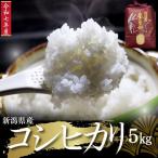 星の里米 コシヒカリ 清里産 5kg