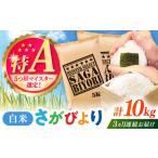 米 コシヒカリ 全3回定期便 こしひかり 白米 10kg