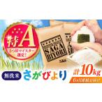 米 コシヒカリ 全6回定期便 こしひかり 白米 10kg