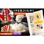 うやま米コシヒカリ 10kg