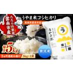 無洗米 コシヒカリ 無洗