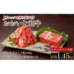 おおいた和牛 1ポンドブロック 約450g