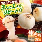 餅 杵つき 生餅 20個