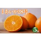 愛果28号 約5kg