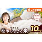 ふるさと納税 【6ヶ月定期便】米 栃木 ふるさと米 白米 10kg (5kg×2袋)《申込月の翌月から出荷開始》栃木県 野木町 米 国産 お米 おこめ お.. 栃木県野木町