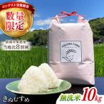 きぬむすめ 無洗米 10kg