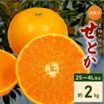 訳あり せとか 和歌山 有田 2S~4Lサイズ混合