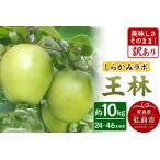 ふるさと納税 りんご 王林【訳あり】10kg しらかみラボ 青森県弘前市