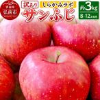 りんご 葉とらずサンふじ 約3kg