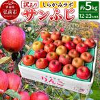 りんご シナノゴールド 約5kg