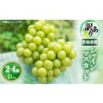 ふるさと納税 2026年先行受付【見た目は訳あり?味は満足!】農福連携シャインマスカット計1kg【ご家庭用】【配送不可地域：離島】【1679907】 山梨県山梨市