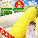 ★2027年 ★朝採りトウモロコシ 約5kg