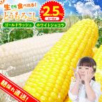 ★2027年 ★朝採りトウモロコシ 約2.5kg