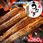 富士山脈の地下水 炭火焼きうなぎの蒲焼