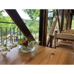 近江富士花緑公園 森林カフェ またほこゆった