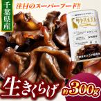 生キクラゲ 約300g