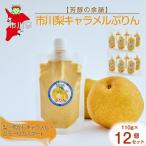 市川梨キャラメルぷりん12個セット