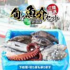 朝獲れ鮮魚セット 下処理済 刺身 鮮魚
